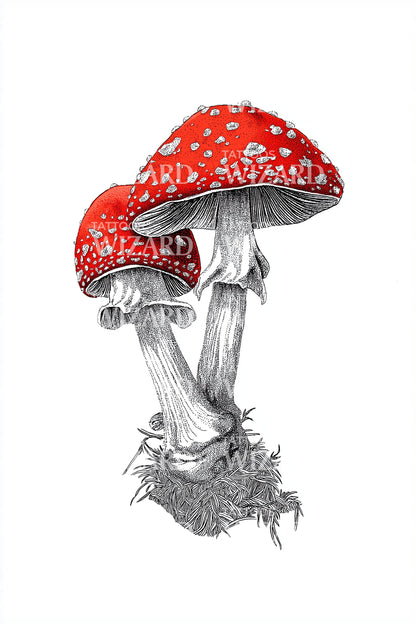 Red Amanita Duo Tattoo Design