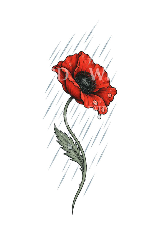 雨中的红色罂粟花纹身插画