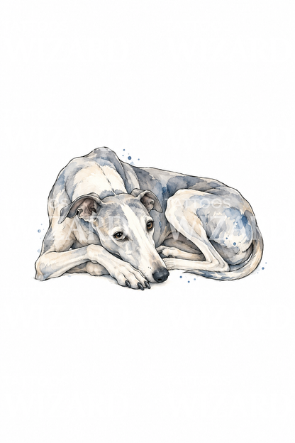 Resting Greyhound Watercolor Tattoo