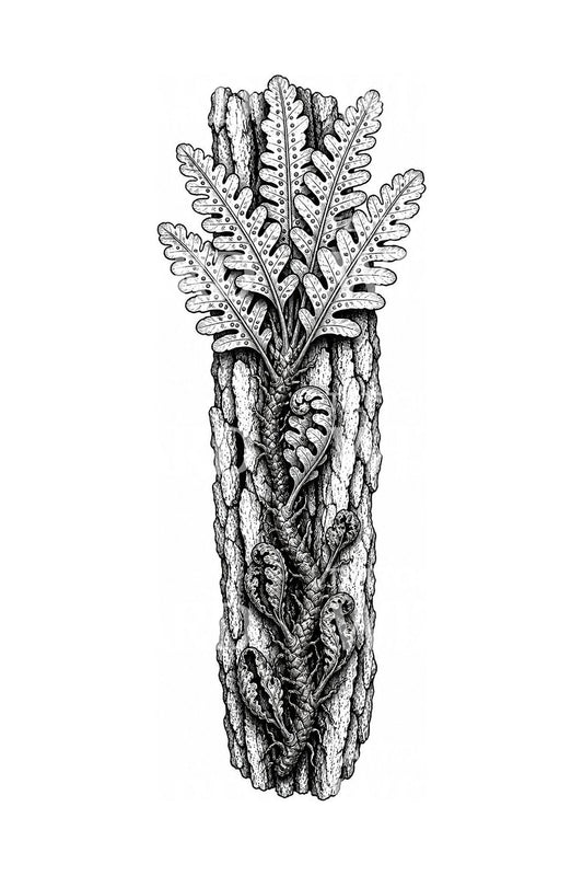 Fougère de la résurrection sur écorce, dessin de tatouage