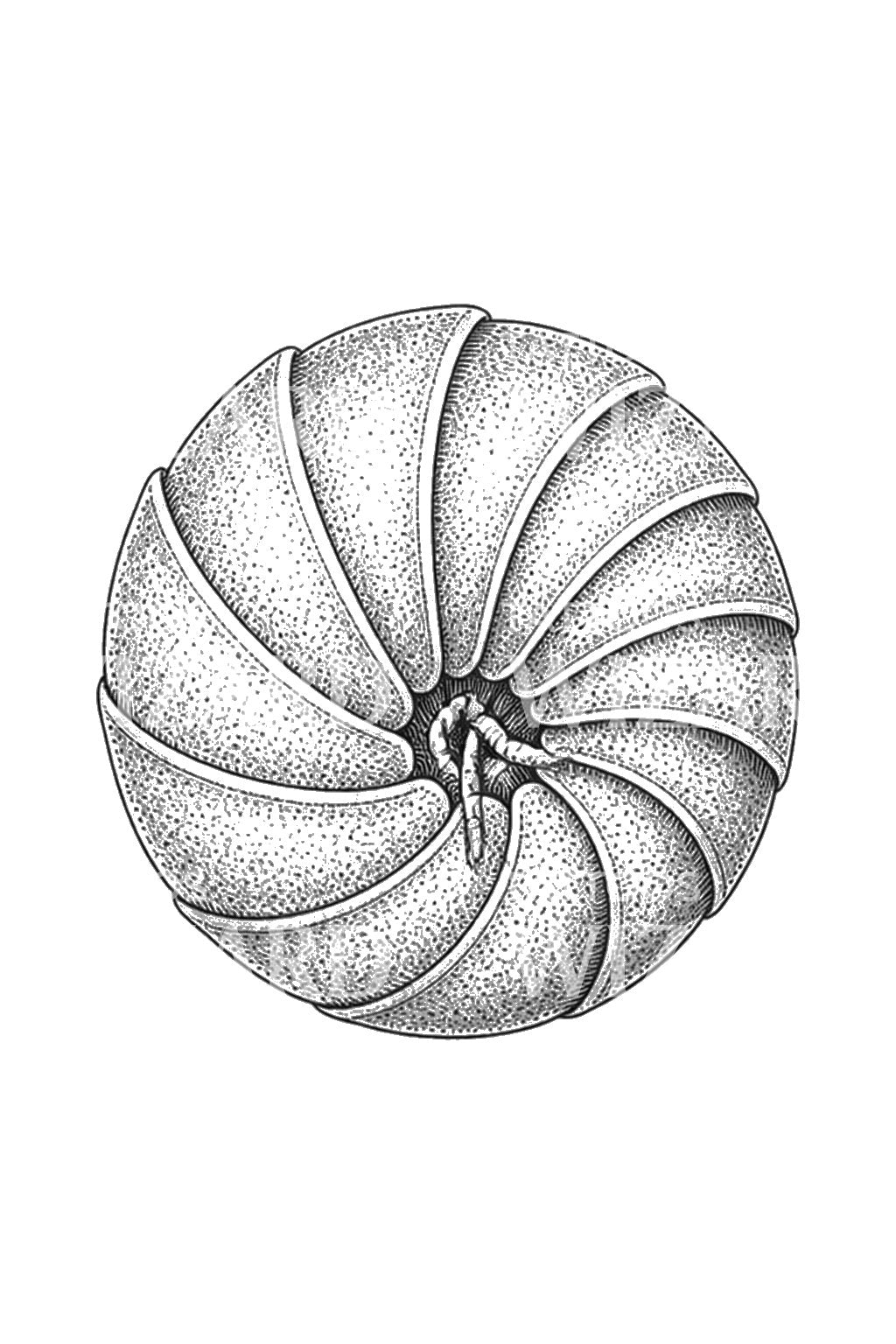 Dövme: Rolled Pill Bug Armour Tattoo Design