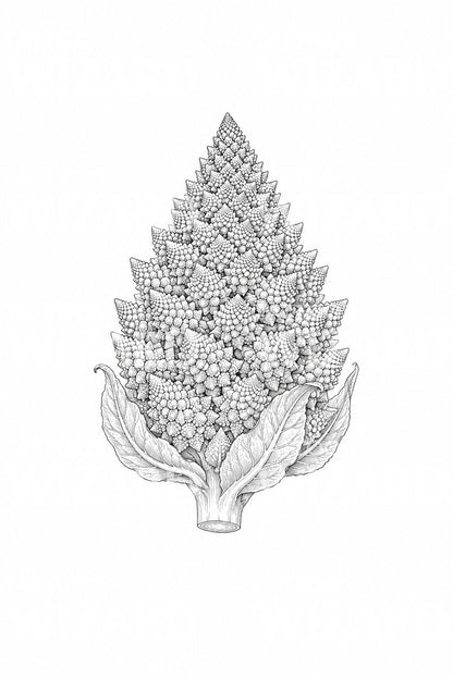 Romanesco Fractal Spiral Head Tattoo Design