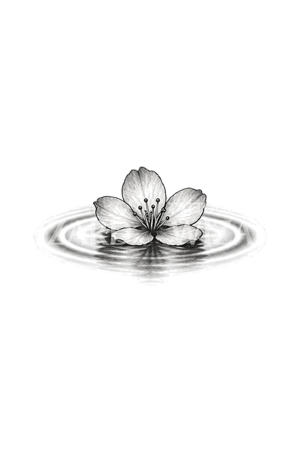 Idea per un tatuaggio di fiori di sakura sull’acqua immobile