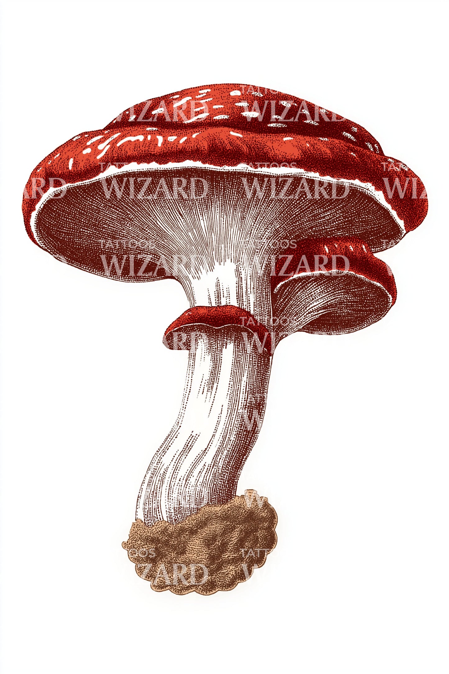 Scarlet Cap Mushroom Tattoo Illustration