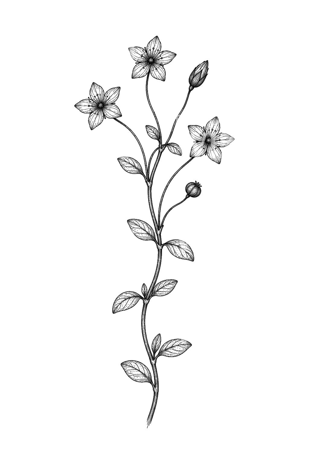 Tattoo-Idee mit scharlachrotem Klatschmohn