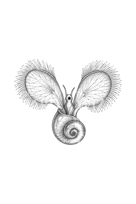 Tattoo-illustratie van een veligerlarve van een zeeslak