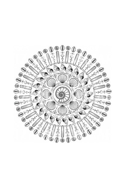 Design per tatuaggio mandala con conchiglia