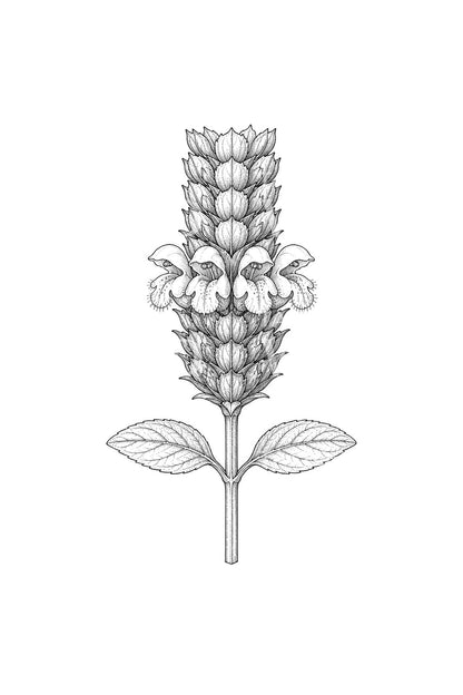 Diseño de tatuaje de hierba sanadora en flor