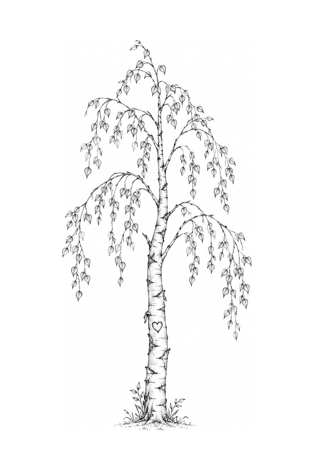 Silver Birch with Carved Heart Tattoo Design