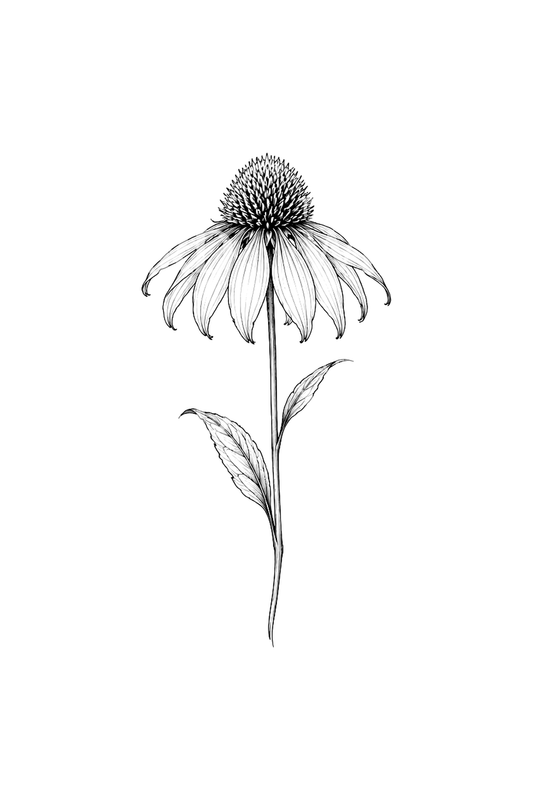 Tatuaggio fine line di una singola echinacea
