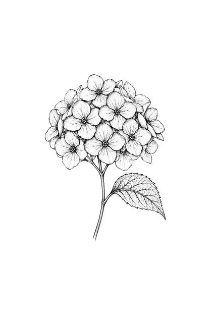 一輪の紫陽花を描くファインラインタトゥーアイデア