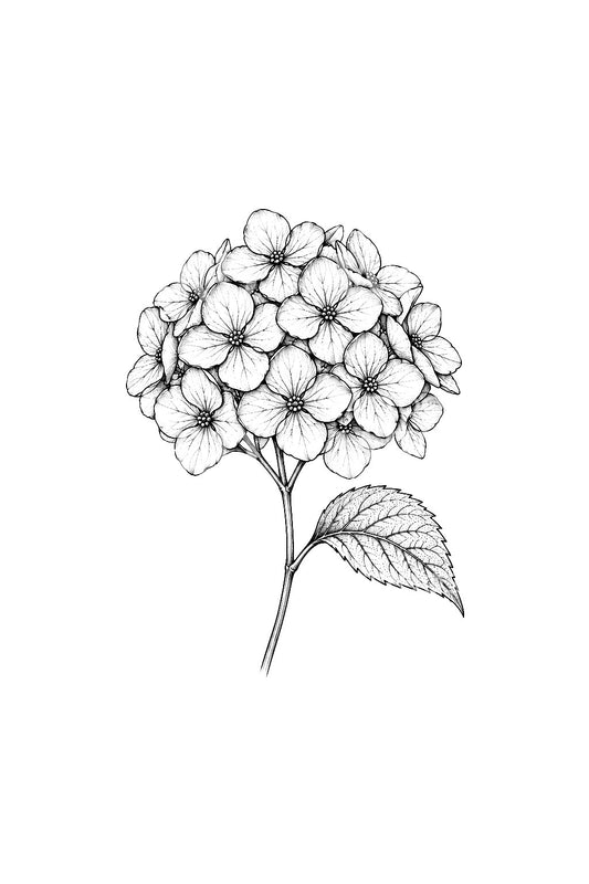 Single Hydrangea Floret Fine Line Tattoo Idea