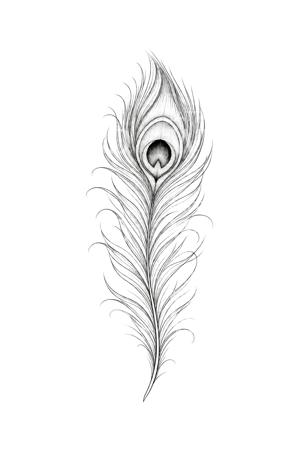 Tatuaggio fine line con una singola piuma di pavone