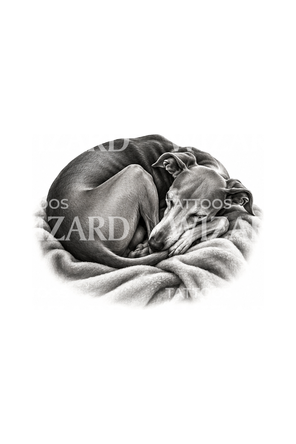 Desain Tato Italian Greyhound yang Sedang Tidur