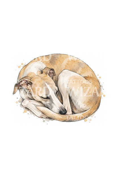Akvarel-tatovering med sovende whippet