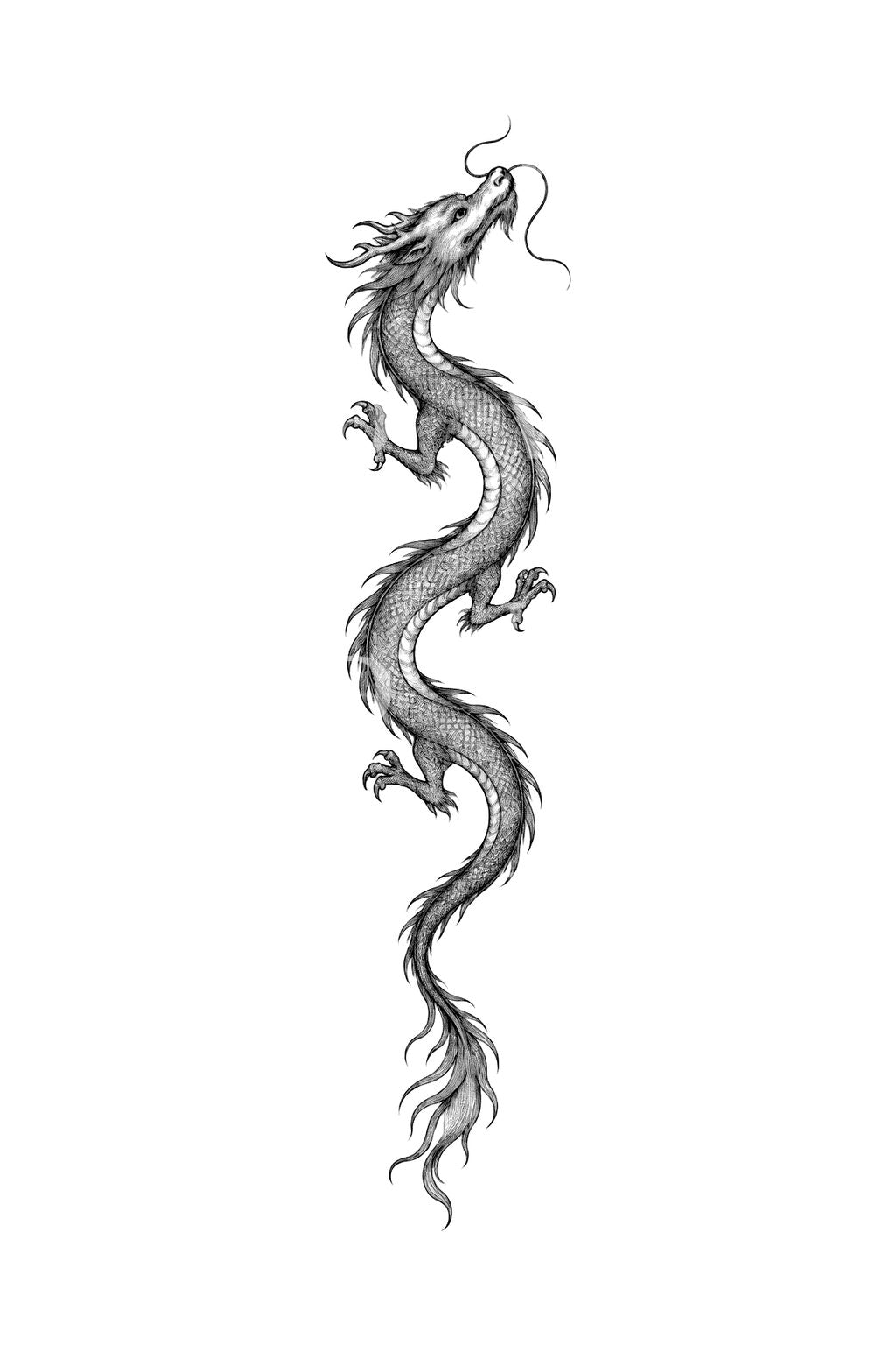 Slender Fine Line Dragon Spine Tattoo Idea
