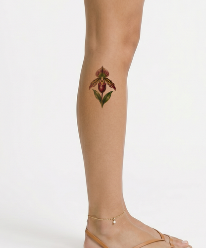 Glossy Pouch Slipper Orchid Realism Tattoo Illustration