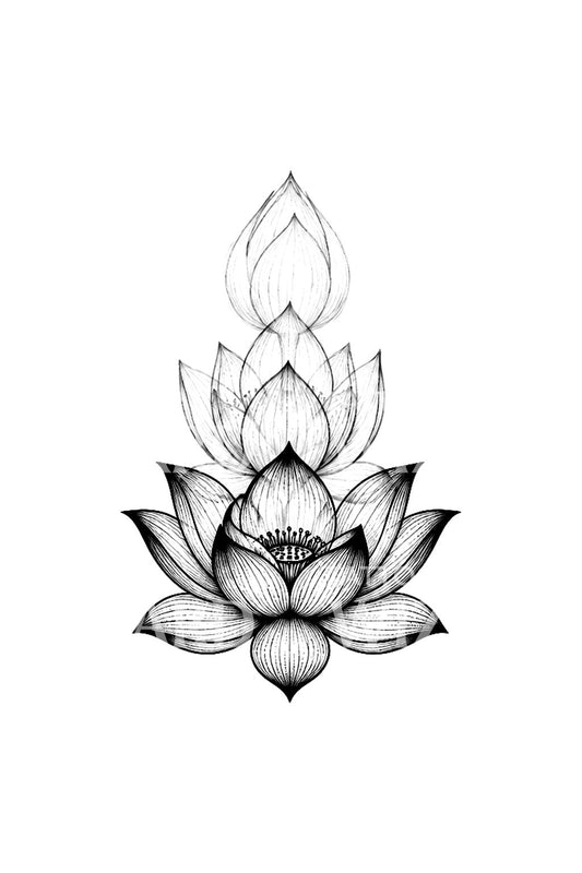 Slow Change Lotus Bloom Sequence Tattoo Idea