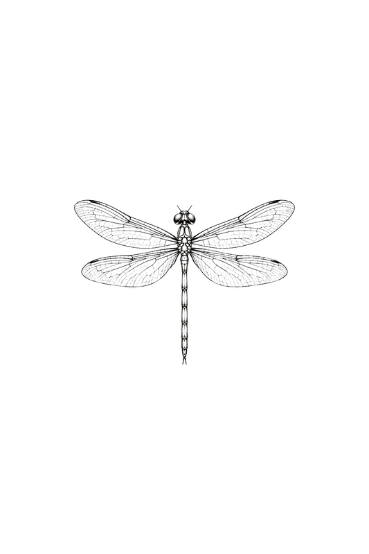 Small Fine Line Dragonfly in Flight Tattoo