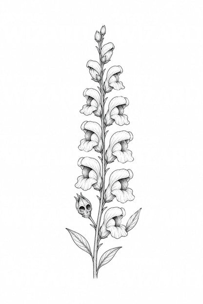 Snapdragon Spike Skull Pod Tattoo Illustration