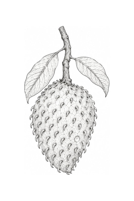 Diseño de tatuaje botánico de fruta de guanábana