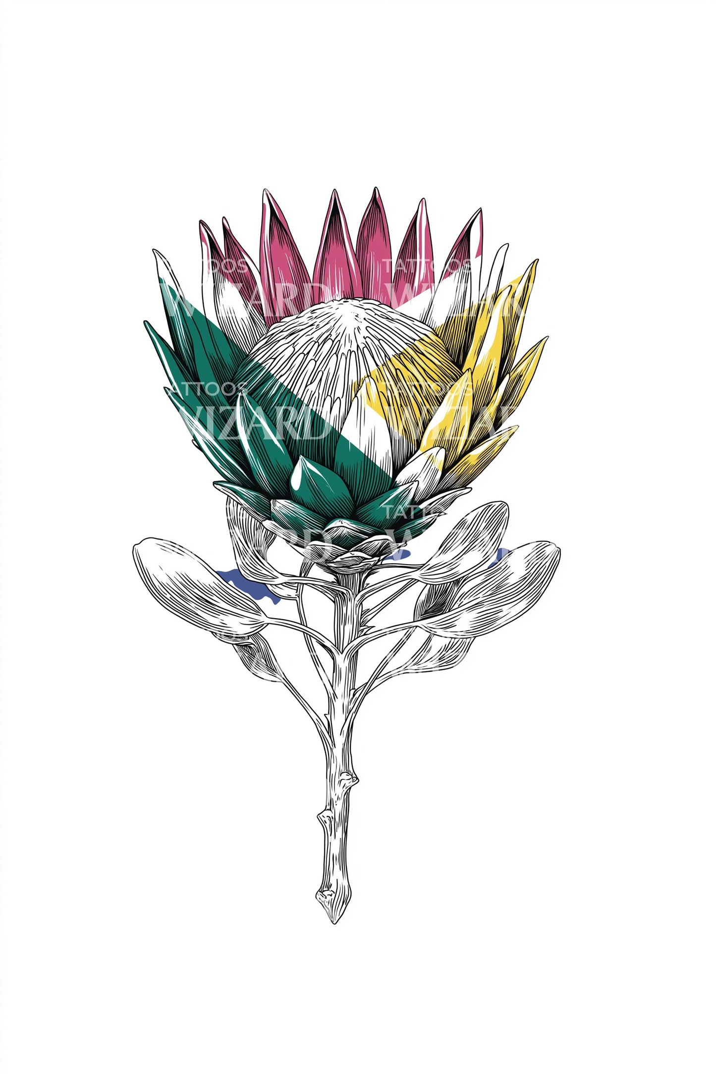 Desenho de Tatuagem de Protea Sul-Africana