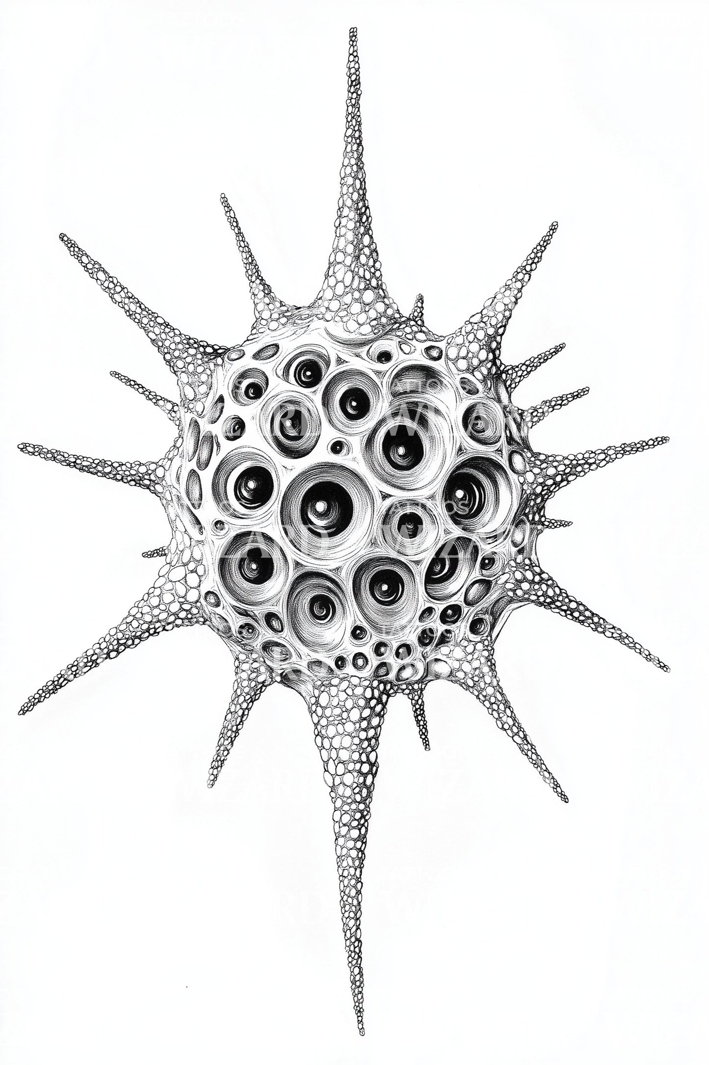 Spiky Radiolarian Sphere Tattoo Design