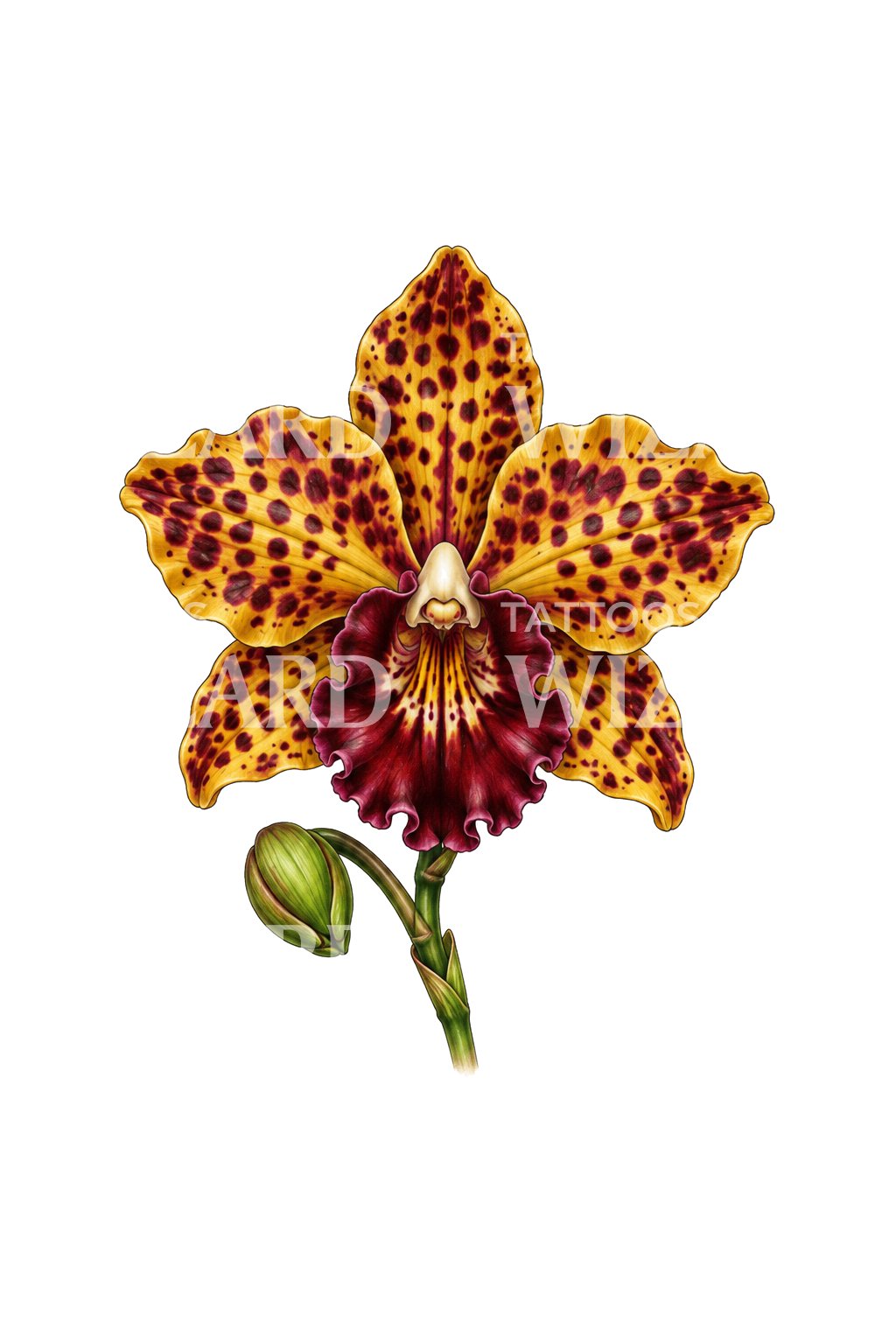 Projekt tatuażu nakrapianej złotej i bordowej orchidei