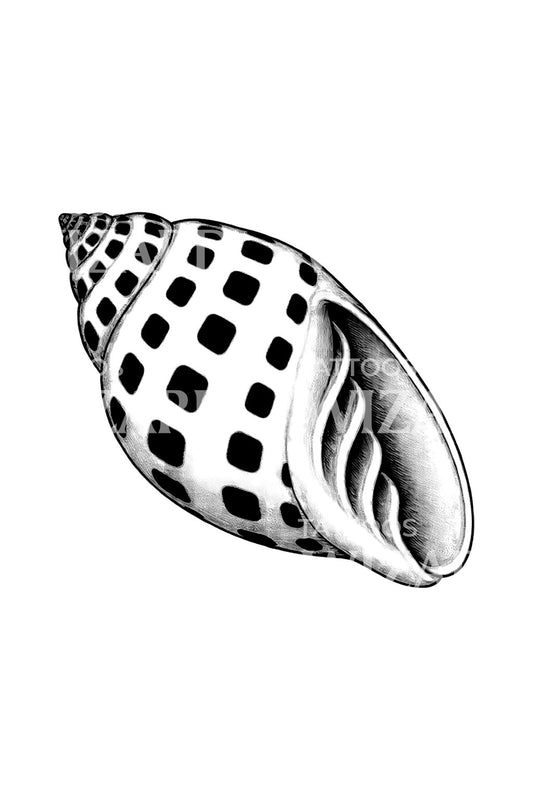 Täplikkään junonia-kuoren tatuointidesign