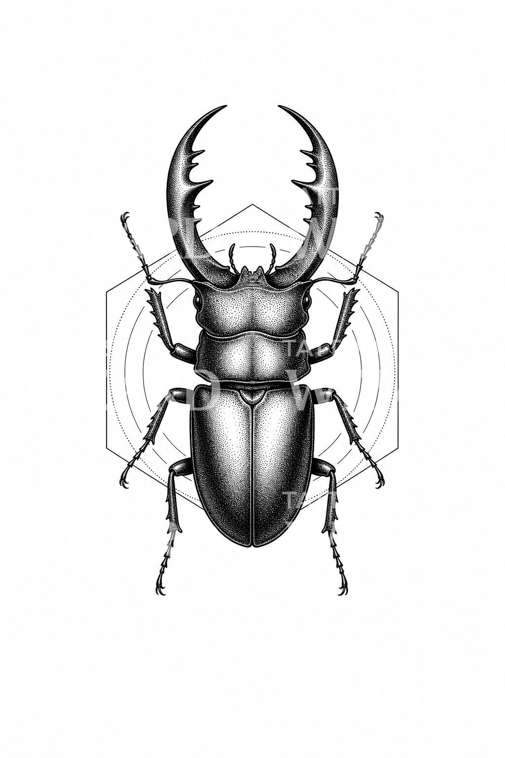 Stag Beetle Dotwork Tattoo Illustration