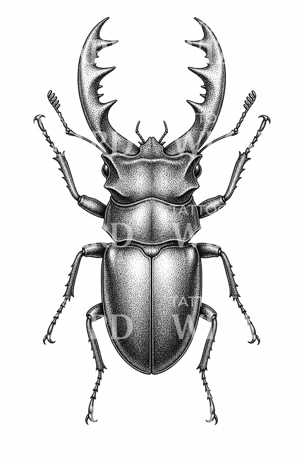 Disegno tattoo di cervo volante