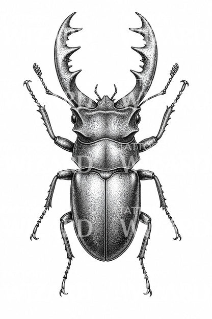 Disegno tattoo di cervo volante