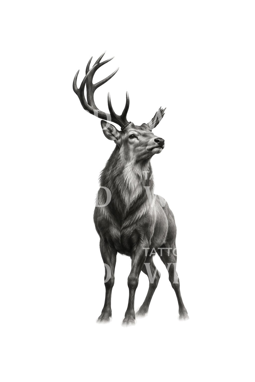 Illustrazione tattoo di un cervo con un corno spezzato