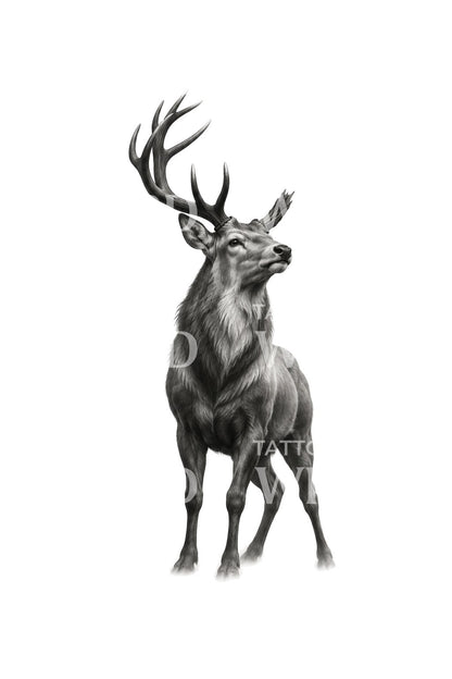 Illustrazione tattoo di un cervo con un corno spezzato