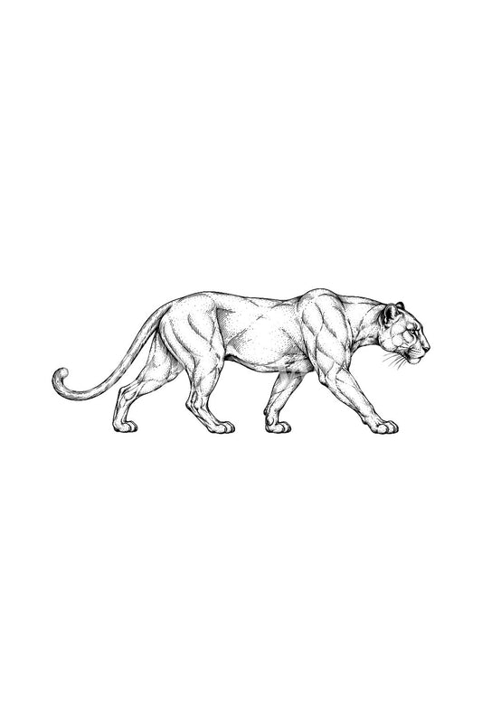 Desain Tato Panther Mengendap Fine Line