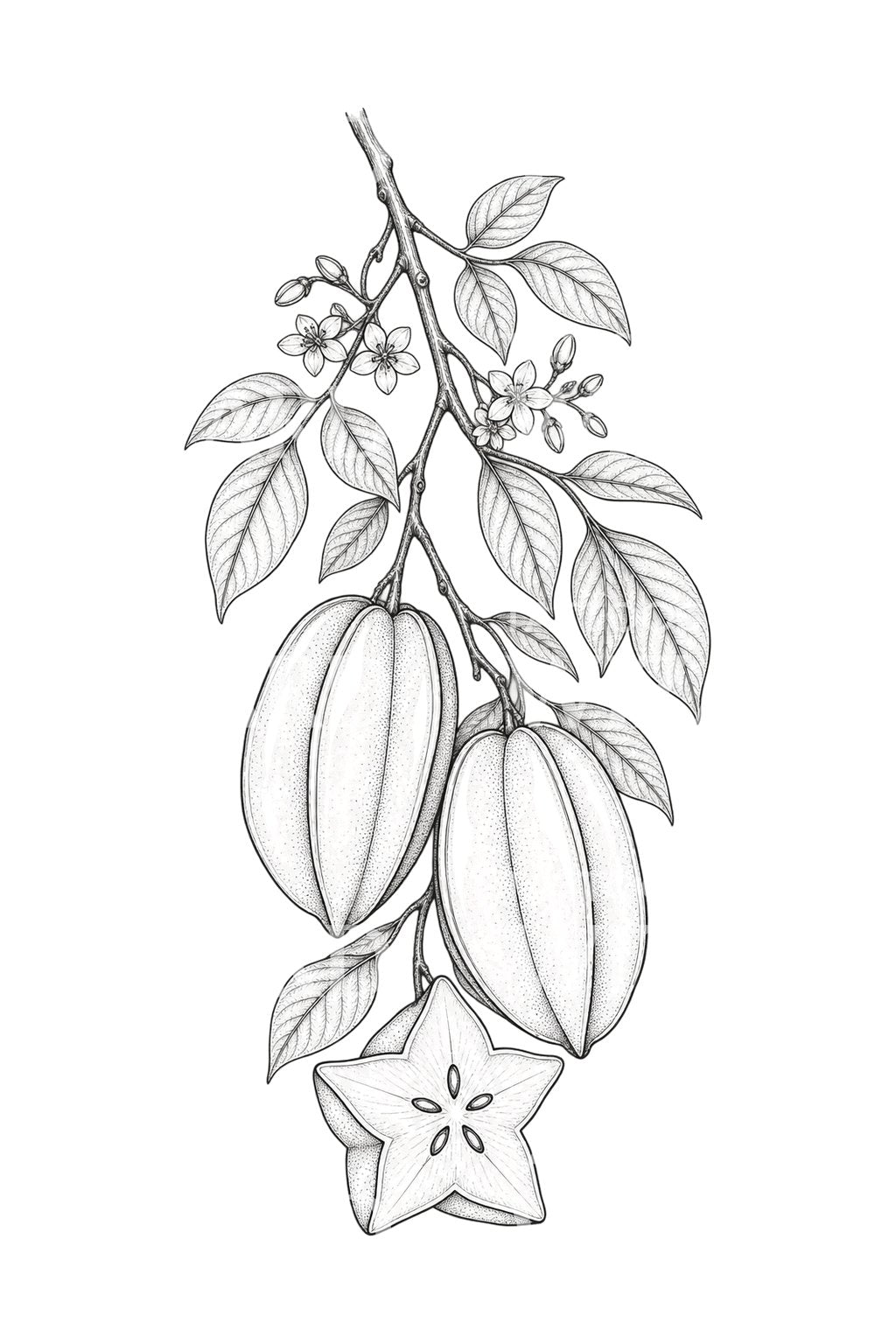 Starfruit Branch and Star Slice Tattoo Design