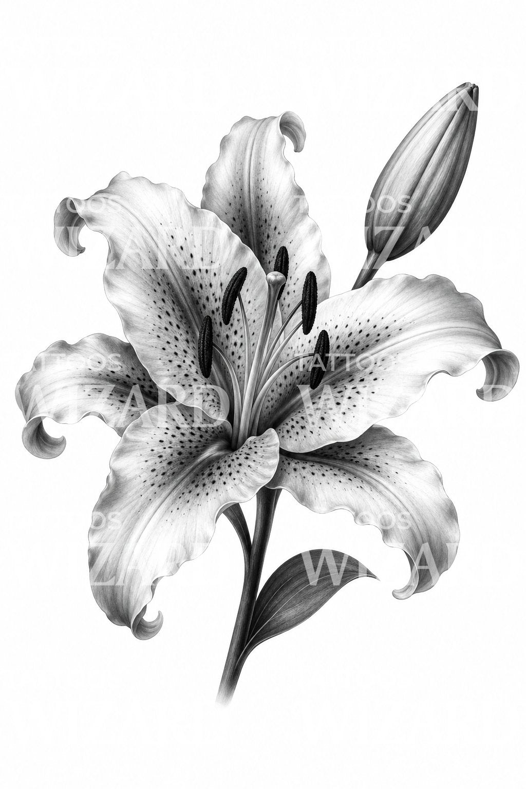 Design tetování lilie stargazer