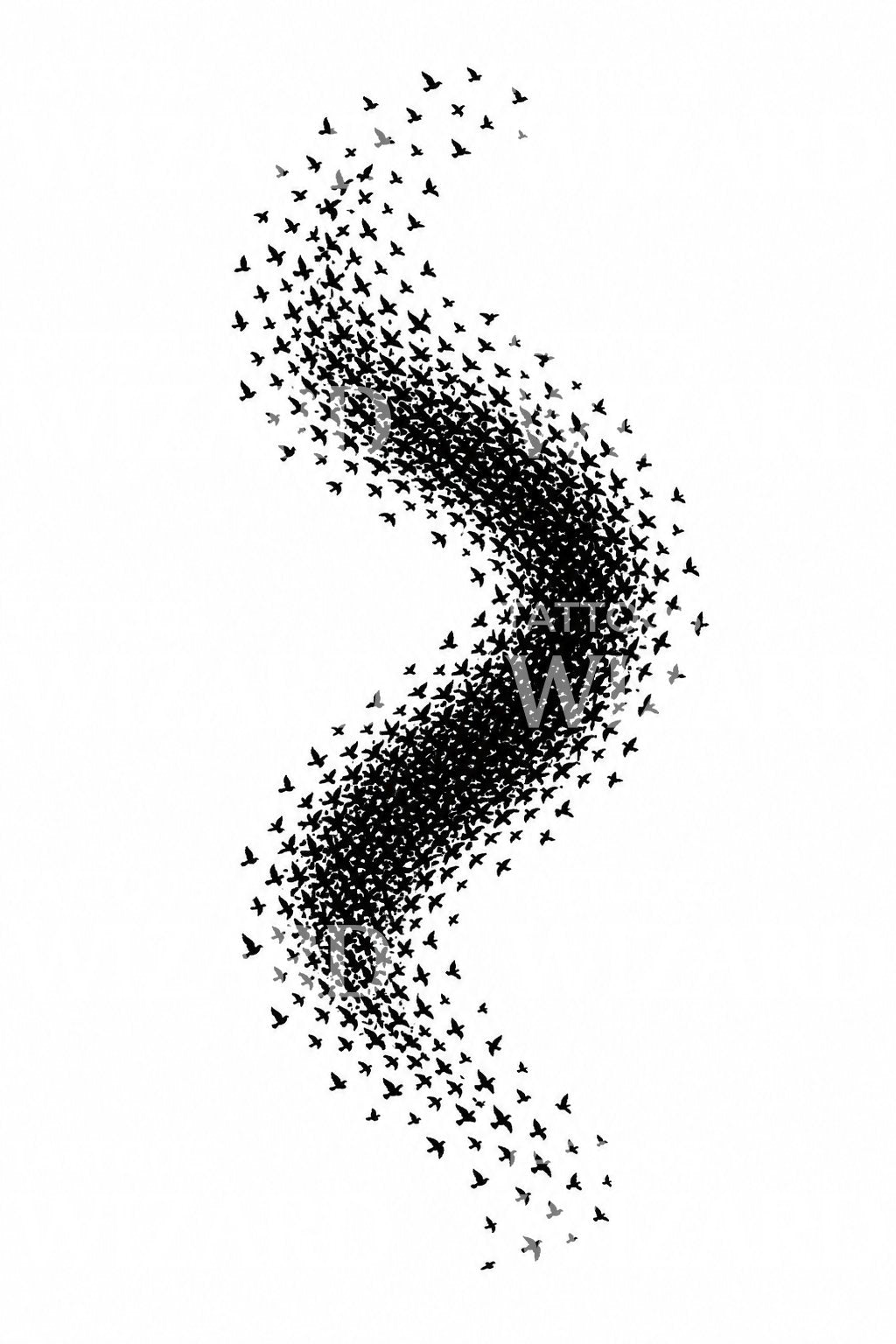 Starling Murmuration Flock Tattoo Design