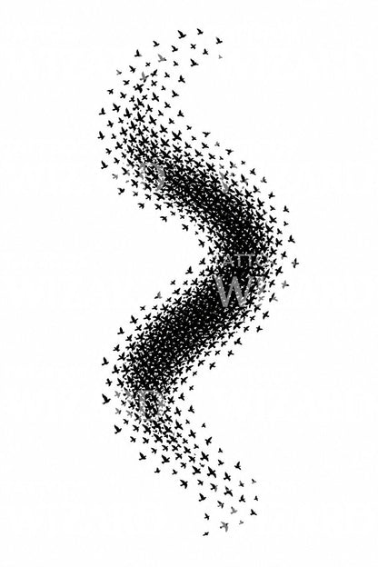 Starling Murmuration Flock Tattoo Design