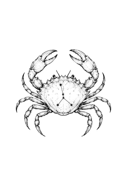 Starry Cancer Crab Zodiac Tattoo Idea
