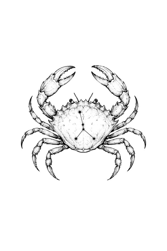 Ideia de tatuagem de caranguejo de Caranguejo estrelado