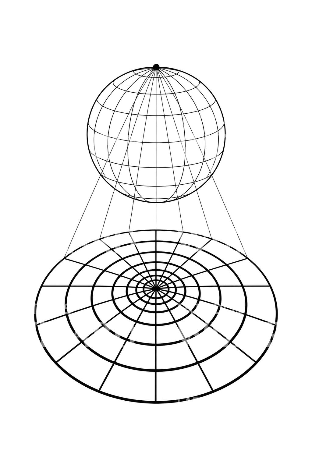 Design de tatuagem com grelha de projeção estereográfica