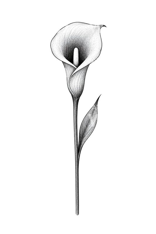 Disegno tatuaggio calla puntinata a stelo lungo