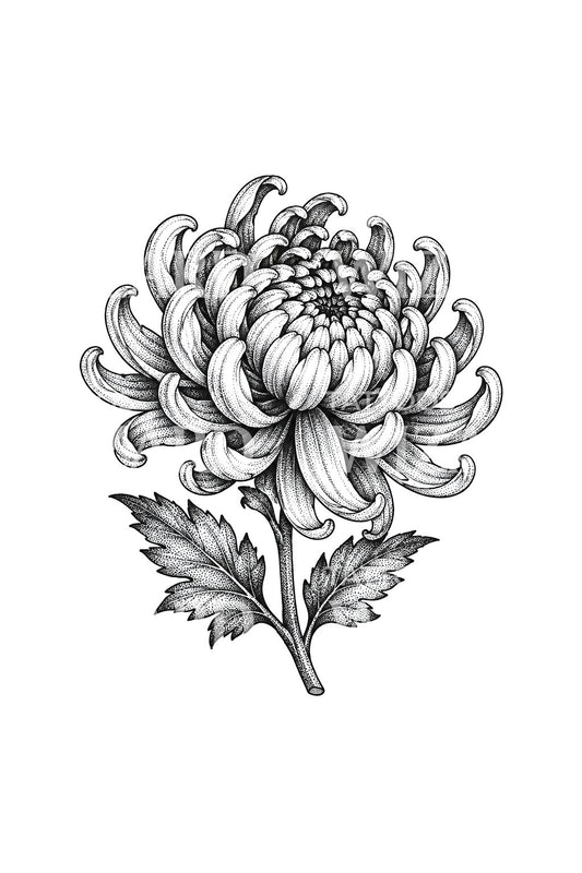 Gepunte chrysant-tattoo in dotwork