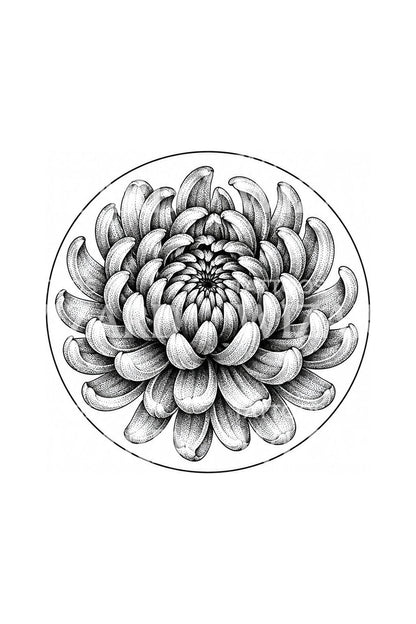 Gepunktetes Chrysanthemen-Tattoo als voller Kreis