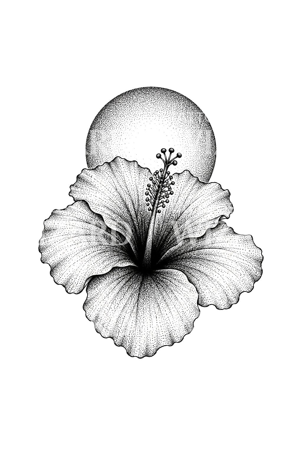 Tečkovaný ibišek proti slunci | Tattoo Design