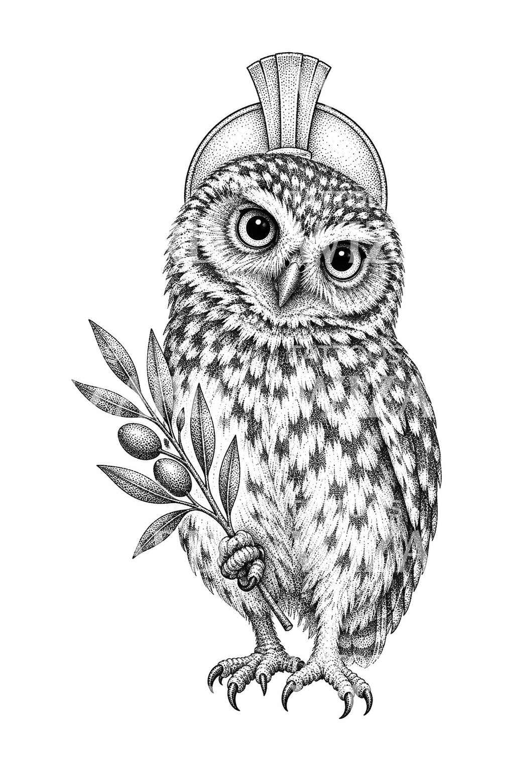 Prickad uggla med olivkvist, tatueringsillustration