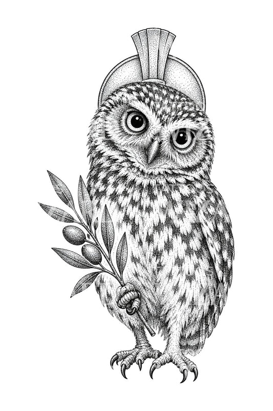 Gestippelde uil met olijftak, tattoo-illustratie