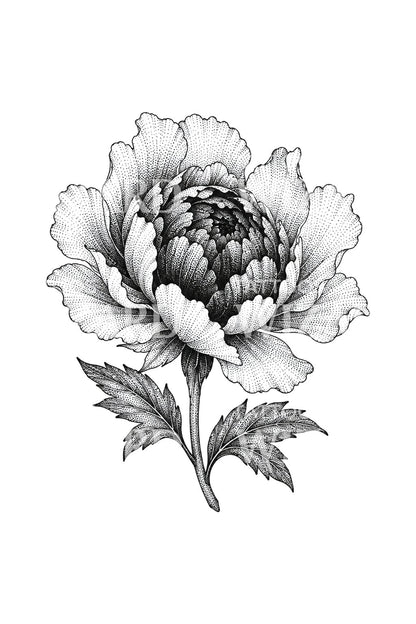 Stippled Peony Heart Opening Tattoo Design