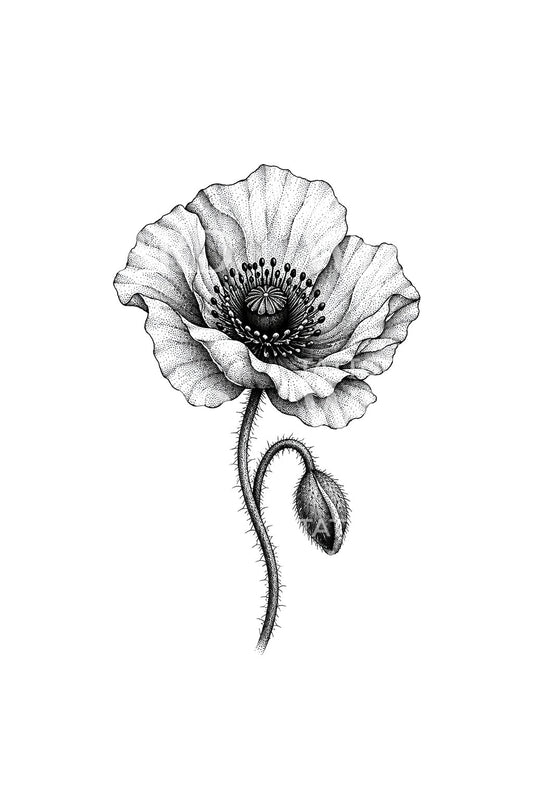 Stippled Poppy with Nodding Bud Tattoo Idea